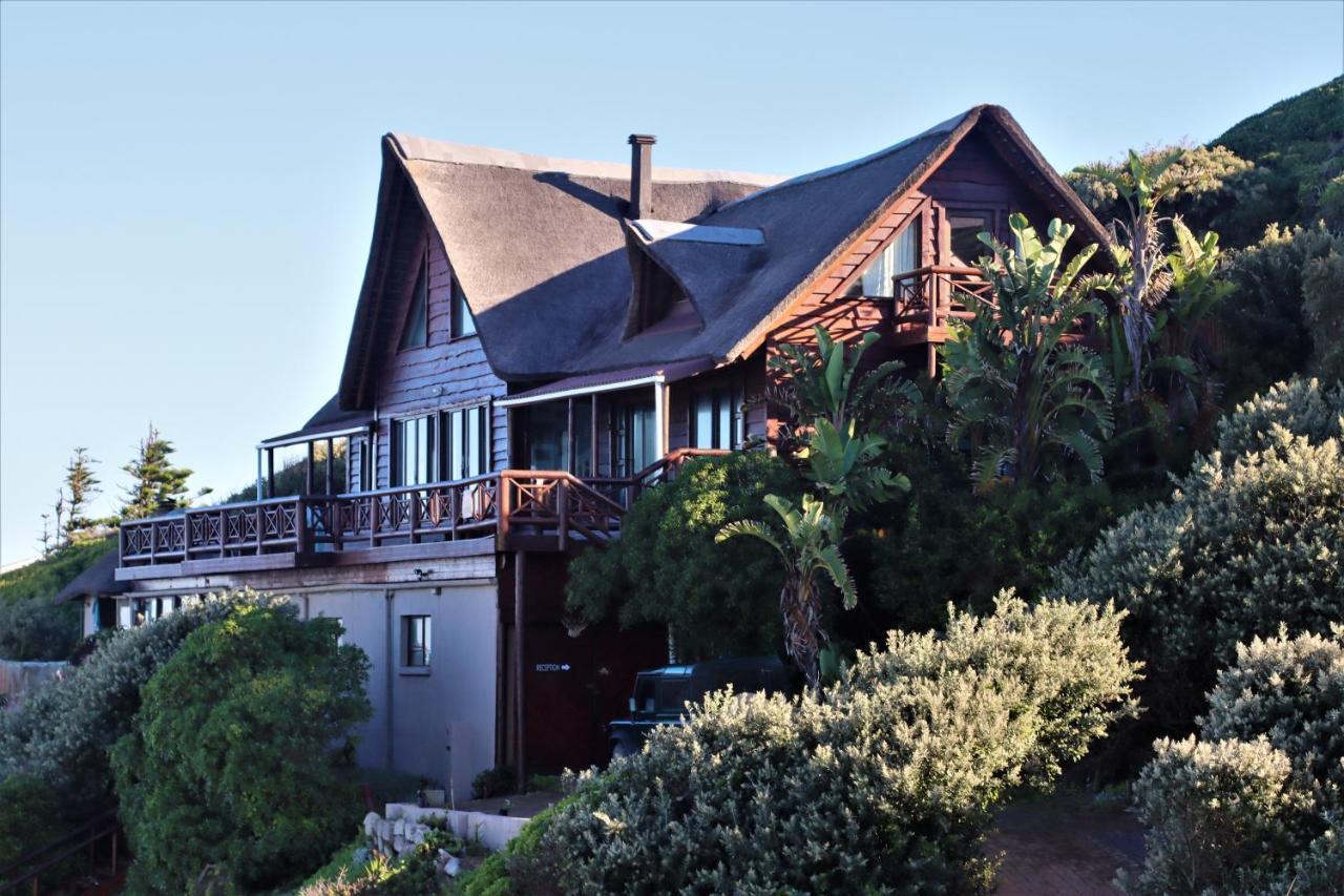 Oyster Bay Beach Lodge Εξωτερικό φωτογραφία